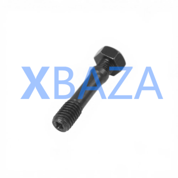 Parafuso de extremidade grande MWM 12161131 original