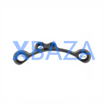 Glândula de vedação XBAZA2072 - MWM 12307719