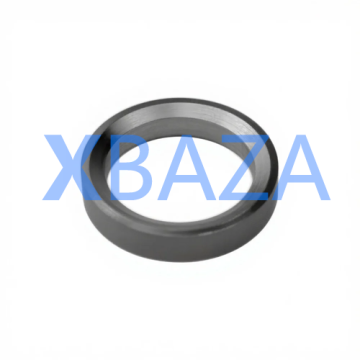 Inserto de assento de válvula XBAZA2124 - MWM 12420810