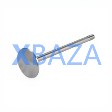 Válvula de entrada XBAZA2133 - MWM 12319913