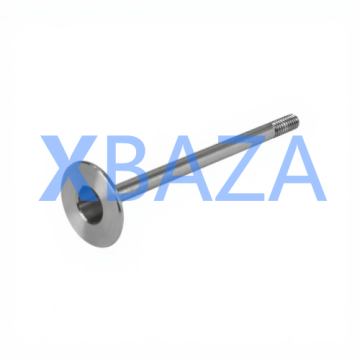 Válvula de escape XBAZA2122 - MWM 12319916