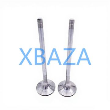 Válvula de escape MWM 12300235 para motor a gás TBG620 TCG2020