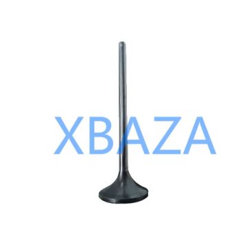 Válvula de entrada 12454247 para motores MWM TCG 2020