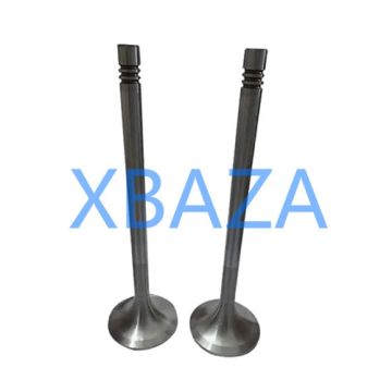 Válvula de escape 12141699 para motor a gás MWM TCG2020